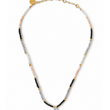 JOA CHOKER